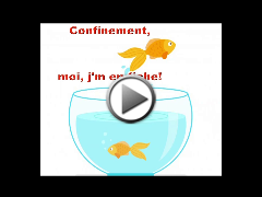 Confinement